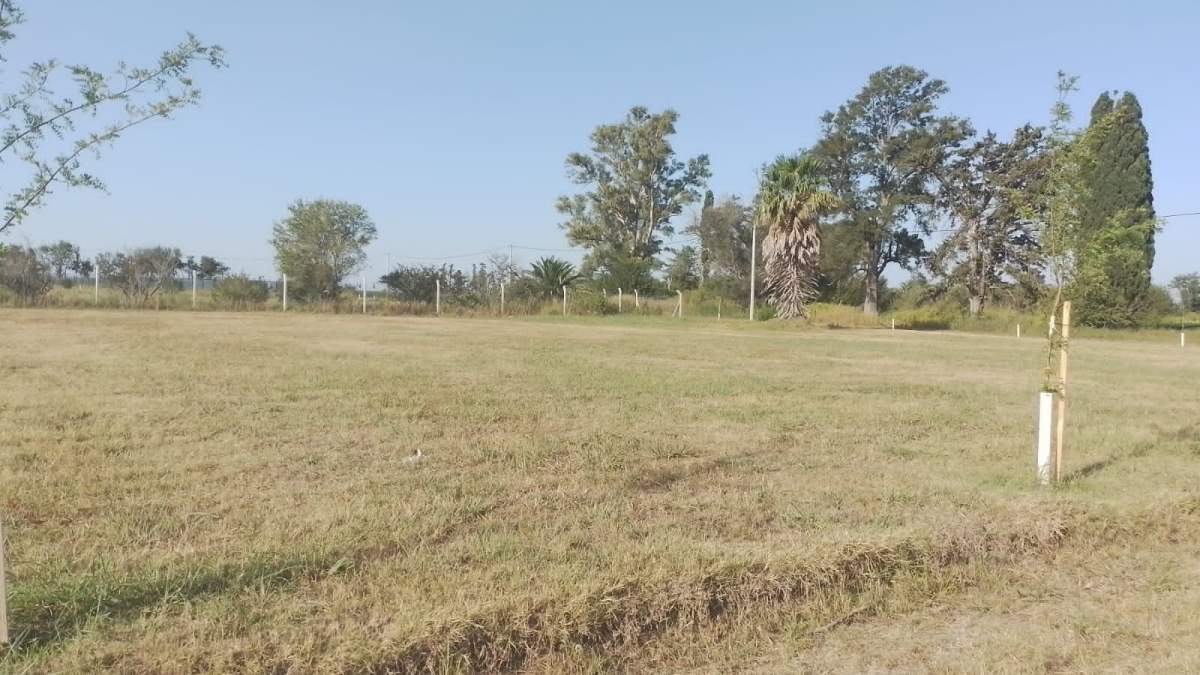 VENTA DE LOTE EN  B LA FLORIDA-LEONES