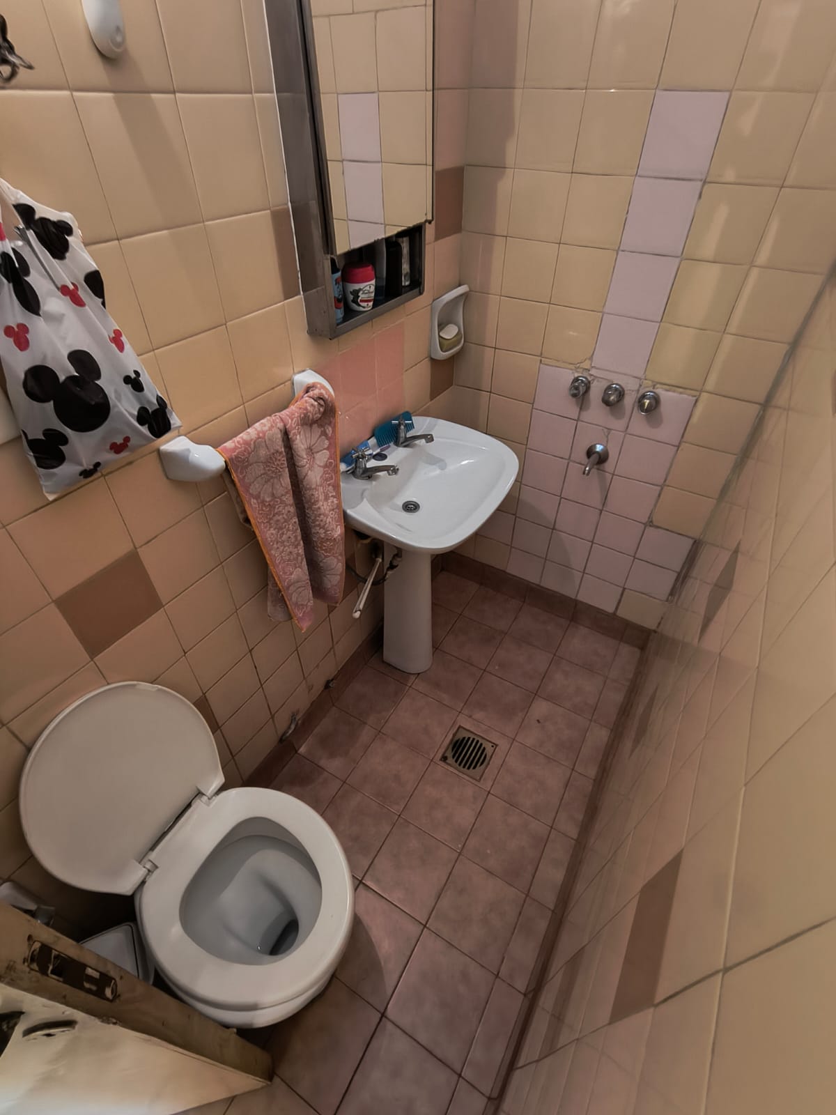 VENTA CASA 2 DORM Y DEPTO B AYACUCHO A 100 mts de Av capdevila