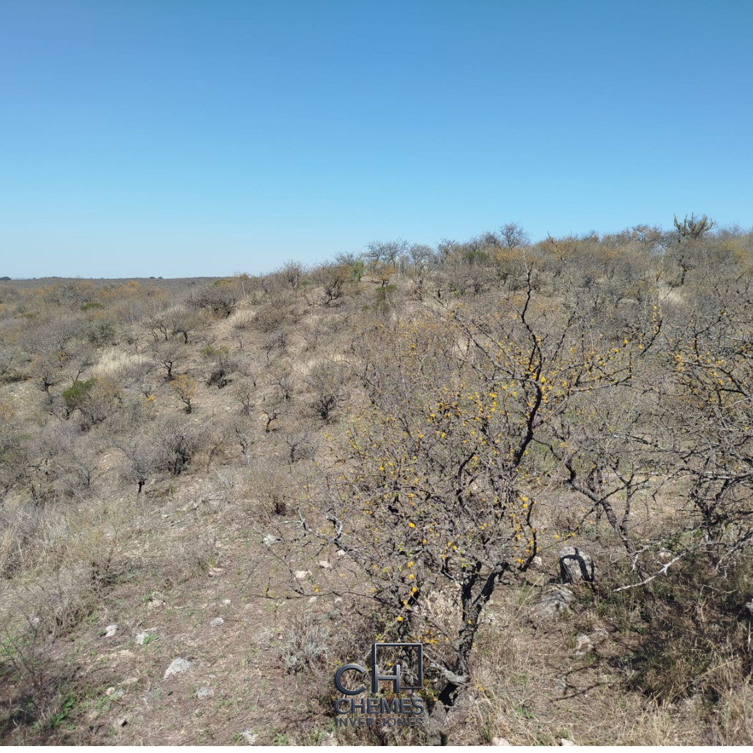 Terreno Country Campos de San Nicolás