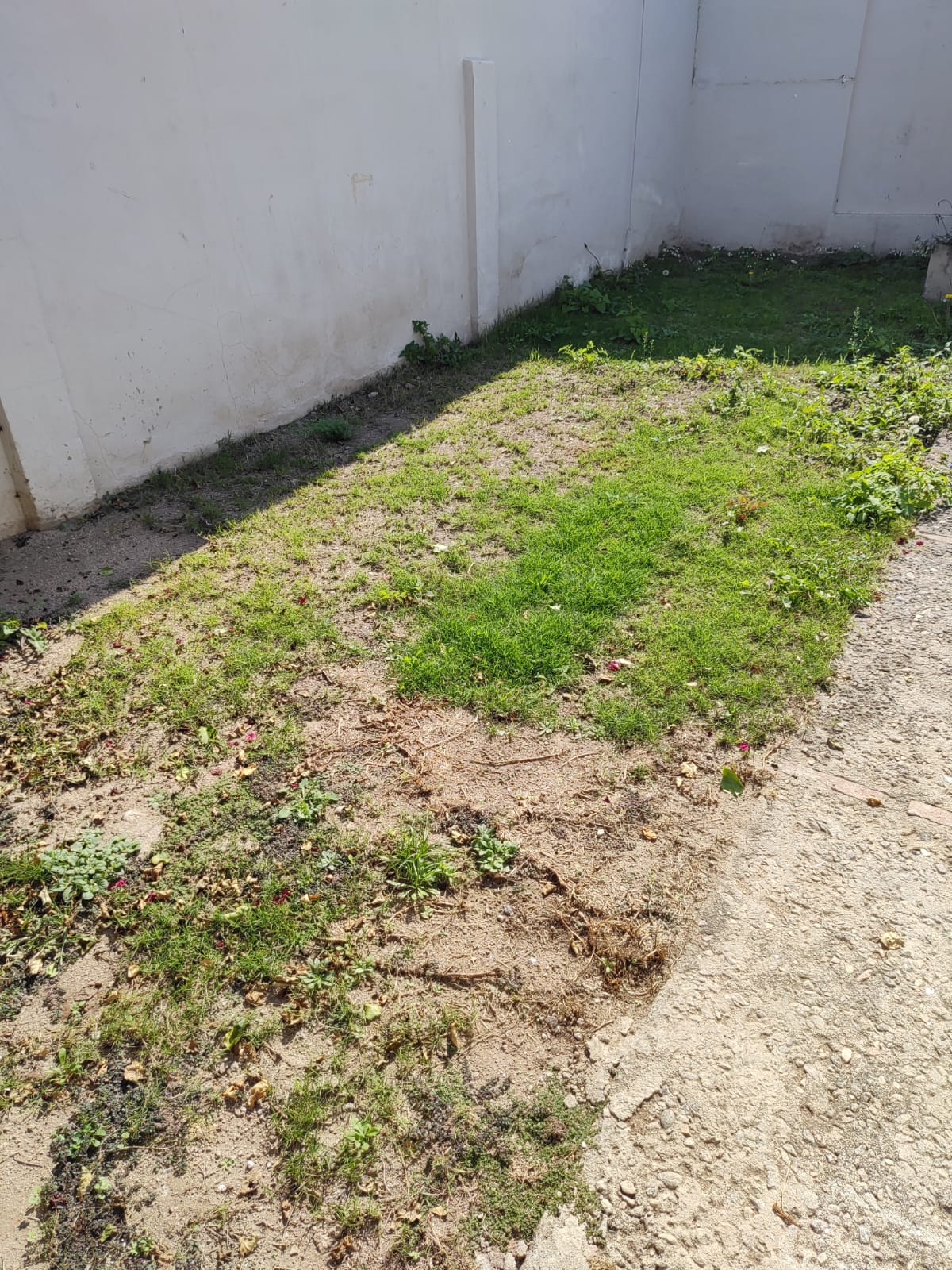 Alquiler Casa - Barrio Los Paraísos
