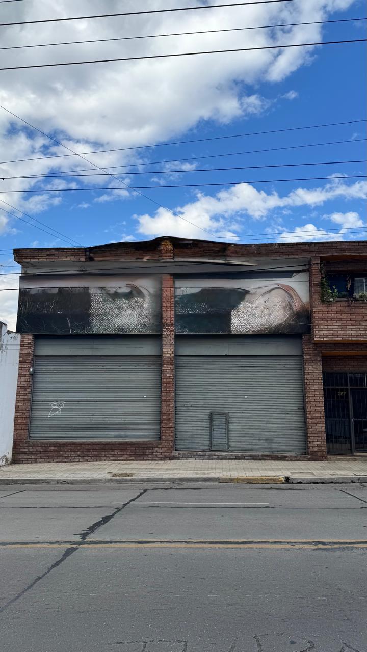 ALQUILER LOCAL COMERCIAL SOBRE JULIO ROCA GUEMES IMPERDIBLE