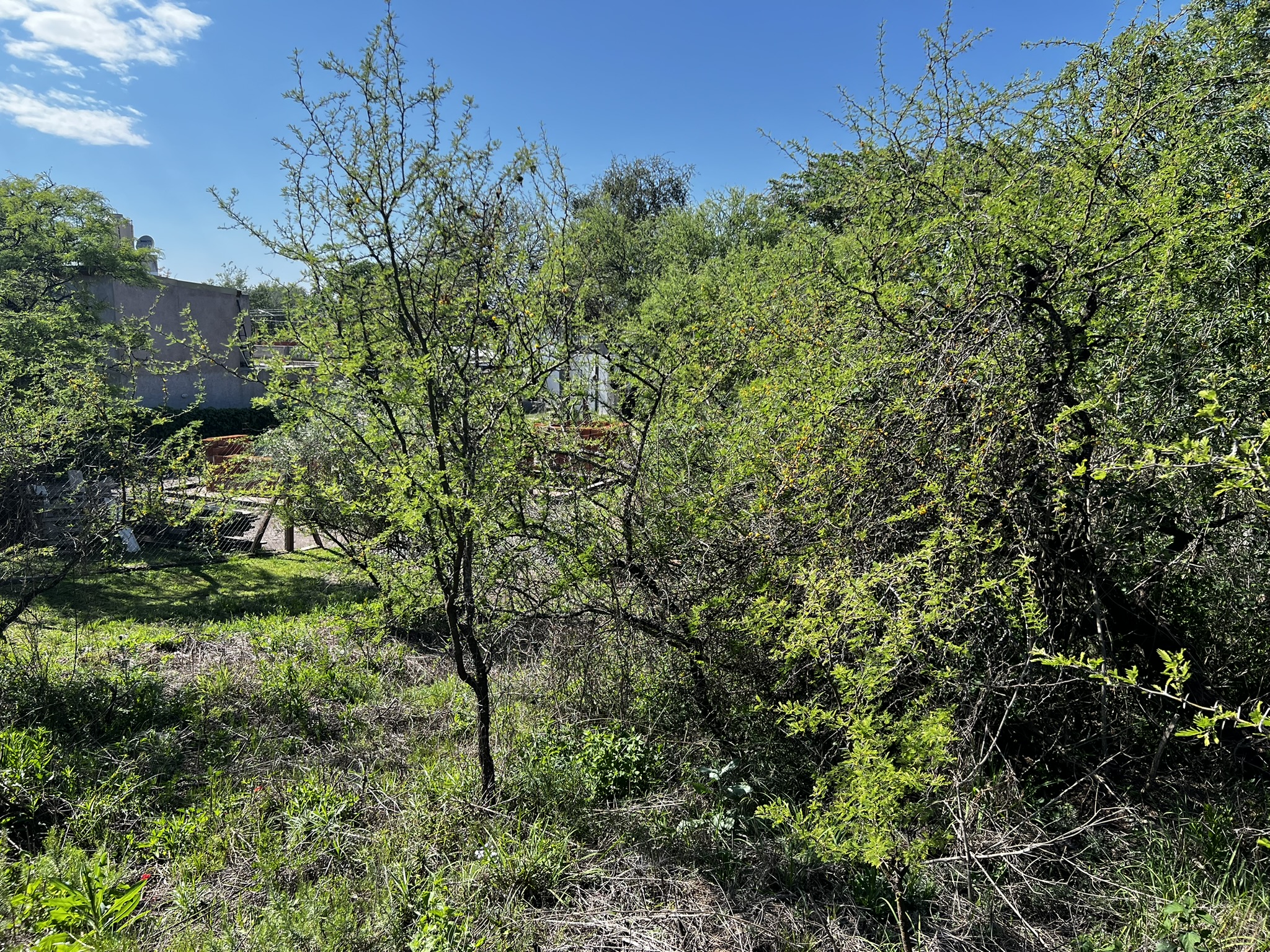 OPORTUNIDAD - LOTE EN VENTA 500 m2 - RIO CEBALLOS (Barrio Lomas del Chañar (UEPC)