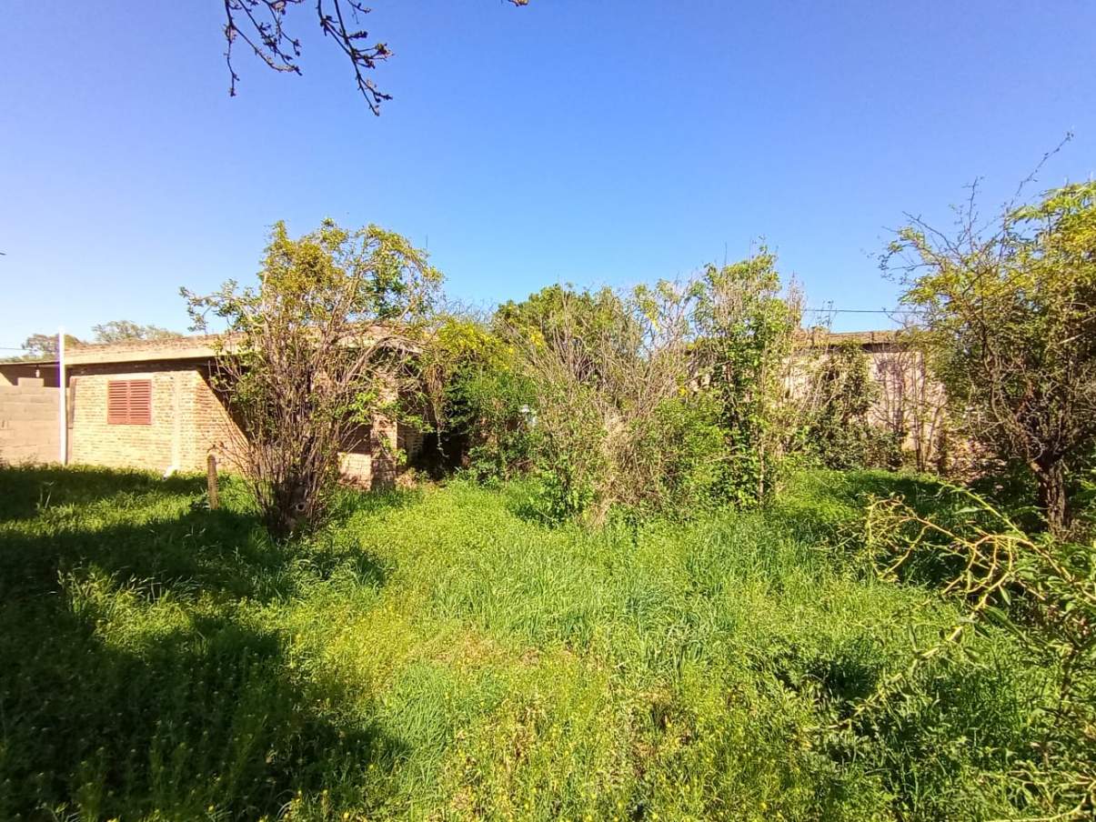 SE VENDE CASA CON GRAN TERRENO EN TINOCO