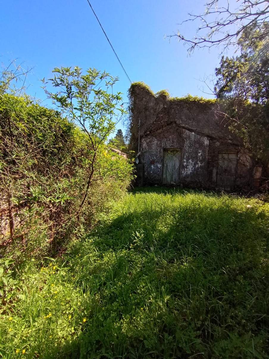 SE VENDE CASA CON GRAN TERRENO EN TINOCO