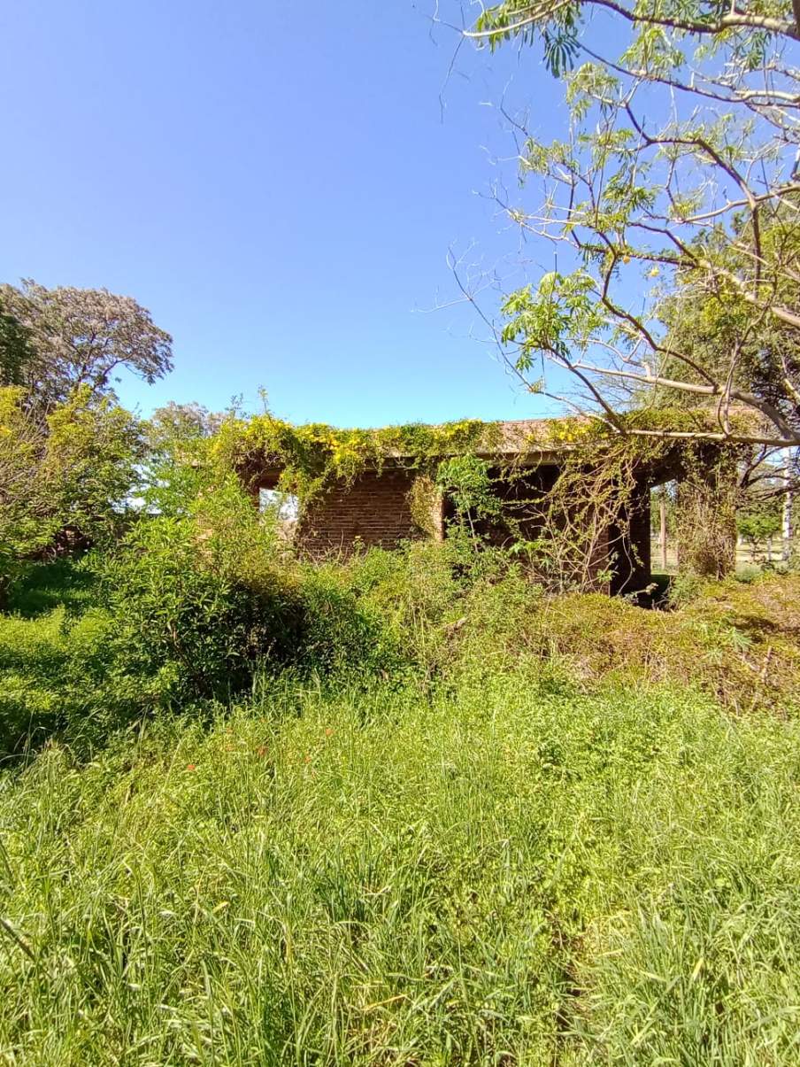 SE VENDE CASA CON GRAN TERRENO EN TINOCO