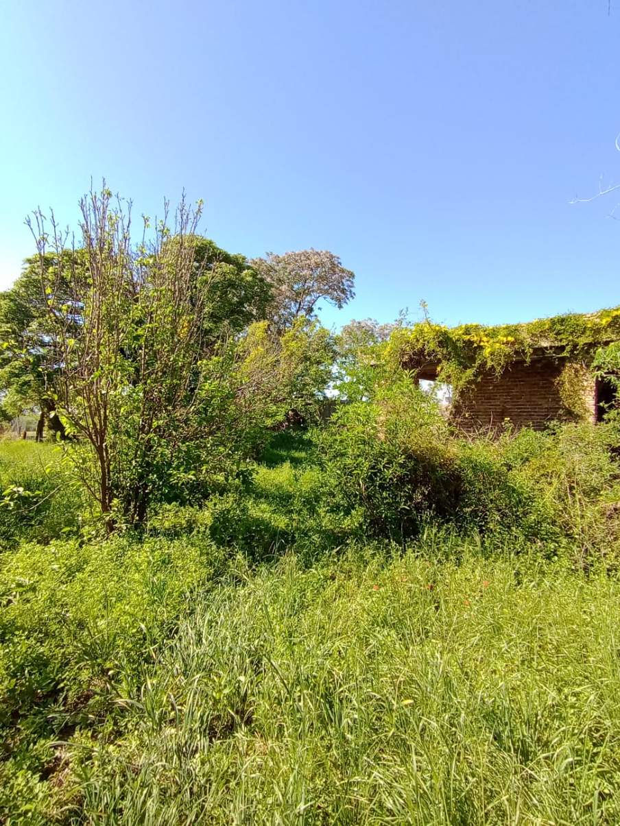 SE VENDE CASA CON GRAN TERRENO EN TINOCO