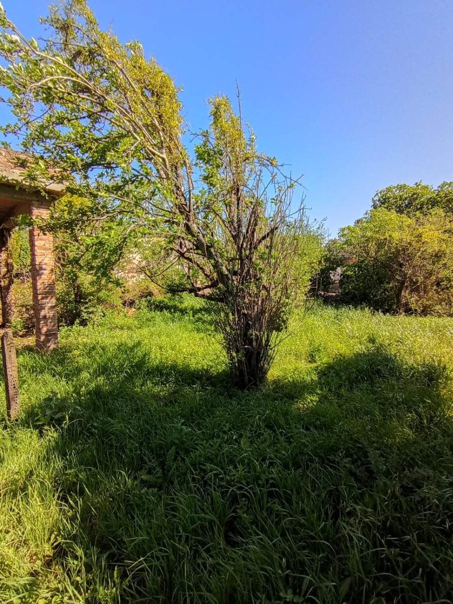 SE VENDE CASA CON GRAN TERRENO EN TINOCO