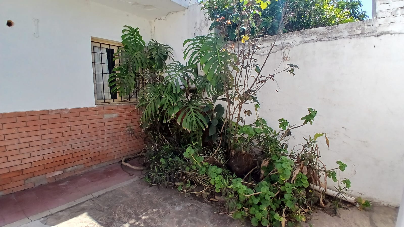 VENTA DEPARTAMENTO  ALTO ALBERDI: Alte. Guillermo Brown 584.  A refaccionar.