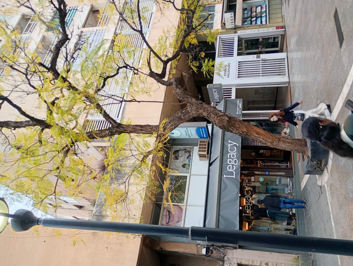 Importante piso oficinas 600 m en pleno ctro z peatonal de Córdoba - Expensas bajas