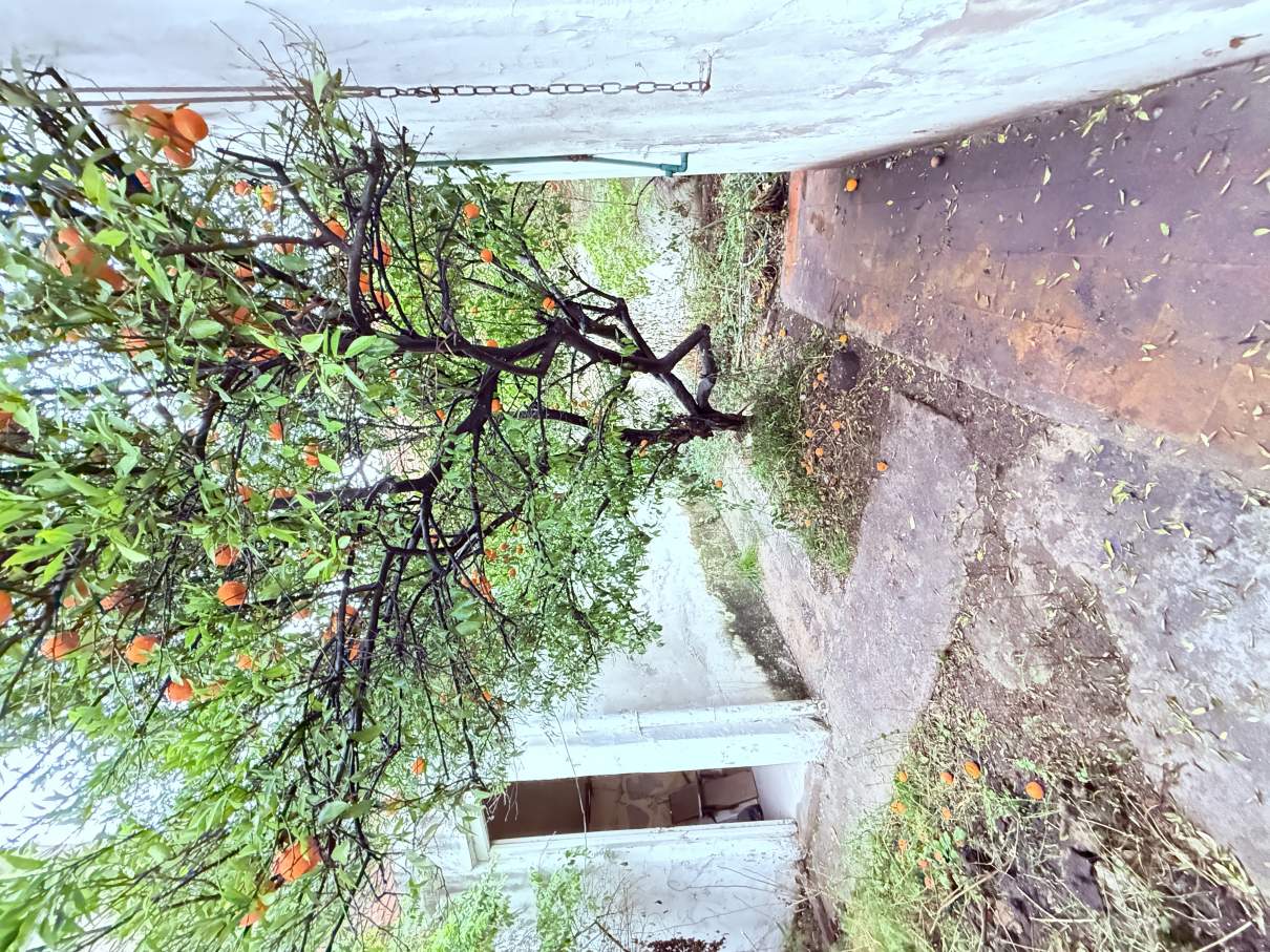 terreno o Casa a Reciclar Ideal Desarrollo B ALBERDI