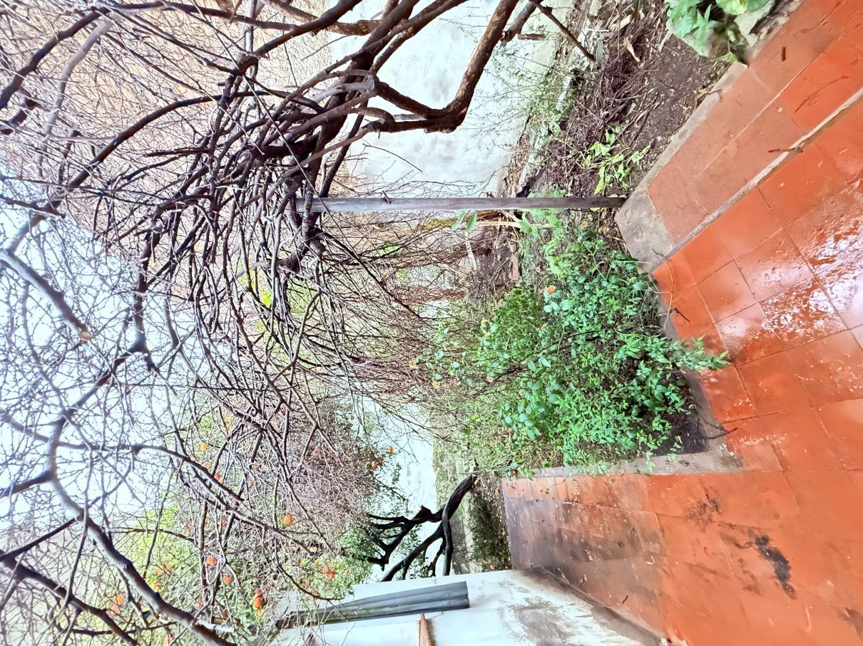 terreno o Casa a Reciclar Ideal Desarrollo B ALBERDI