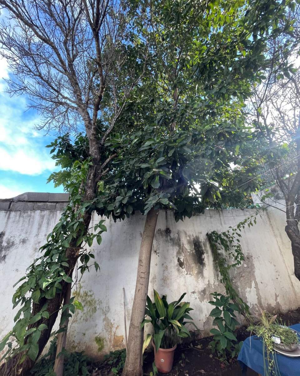Casa En Venta En Maipú Primera Sección, Córdoba Con Patio