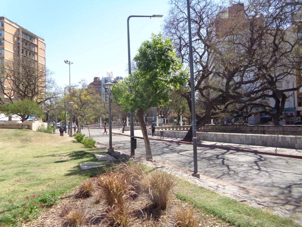 Centro - Excelente Departamento Externo de 1 Dormitorio, Amplio y Luminoso con 2 Balcones, Excelente Vista y Cocina Separada