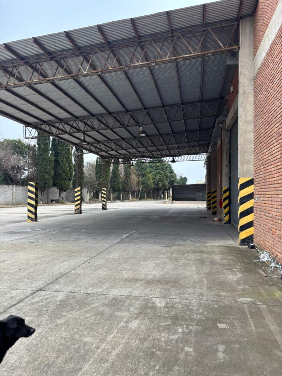 GALPONES EN ALQUILER