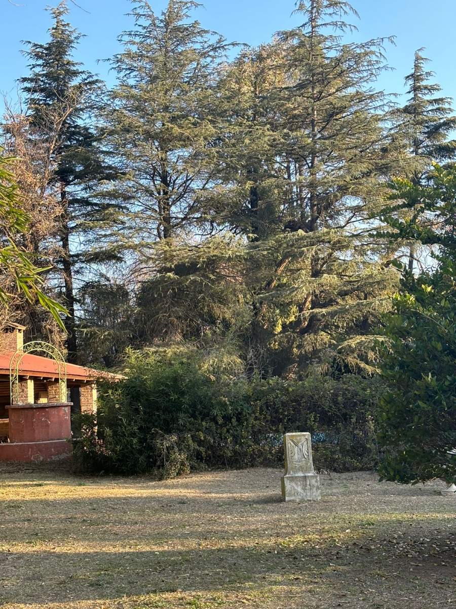 INAUDI TERRENO EN VENTA