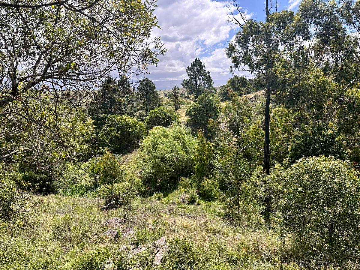 Fracciones en venta - Villa Yacanto de Calamuchita - Diferentes caracteristicas