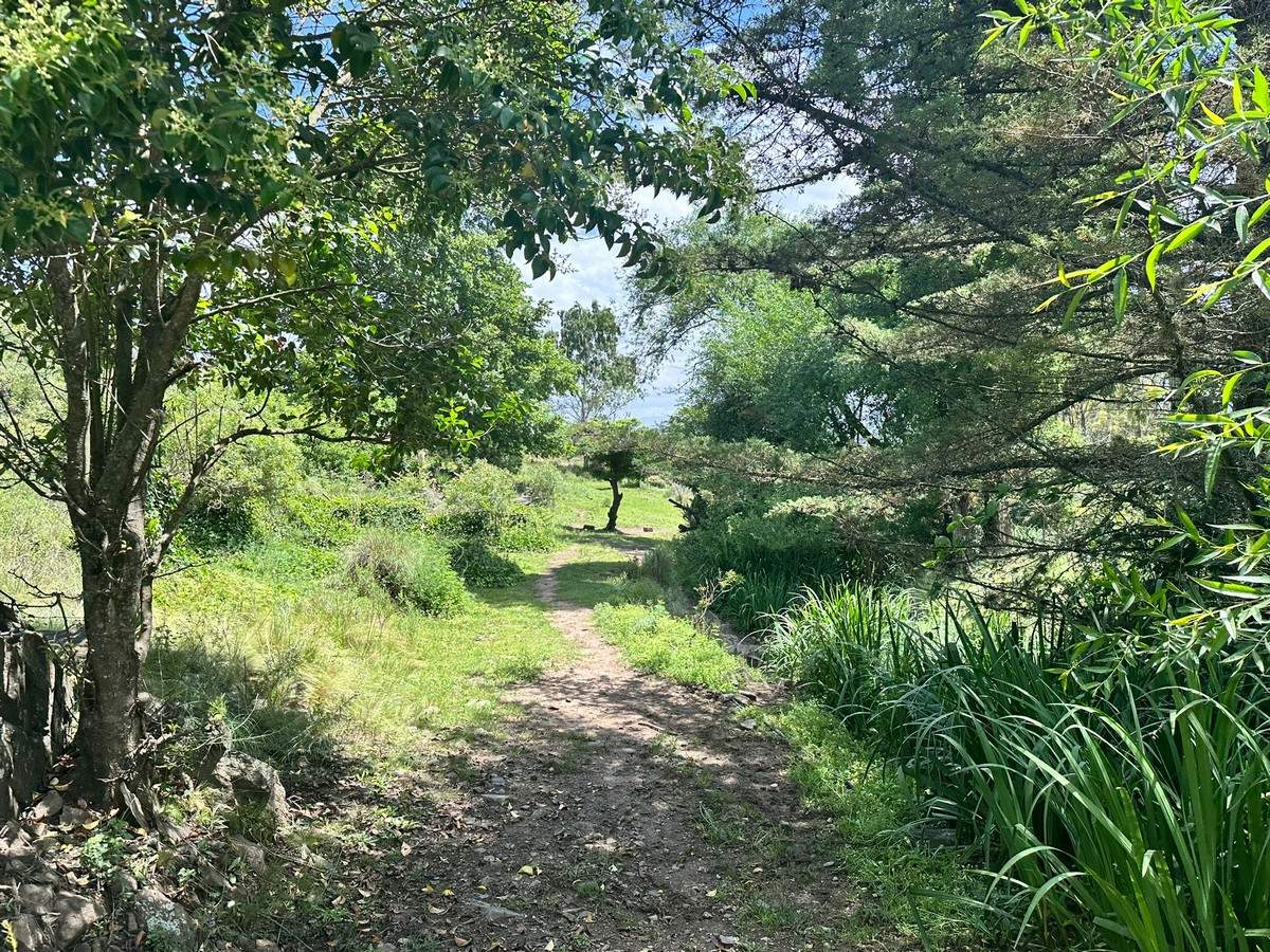 Fracciones en venta - Villa Yacanto de Calamuchita - Diferentes caracteristicas