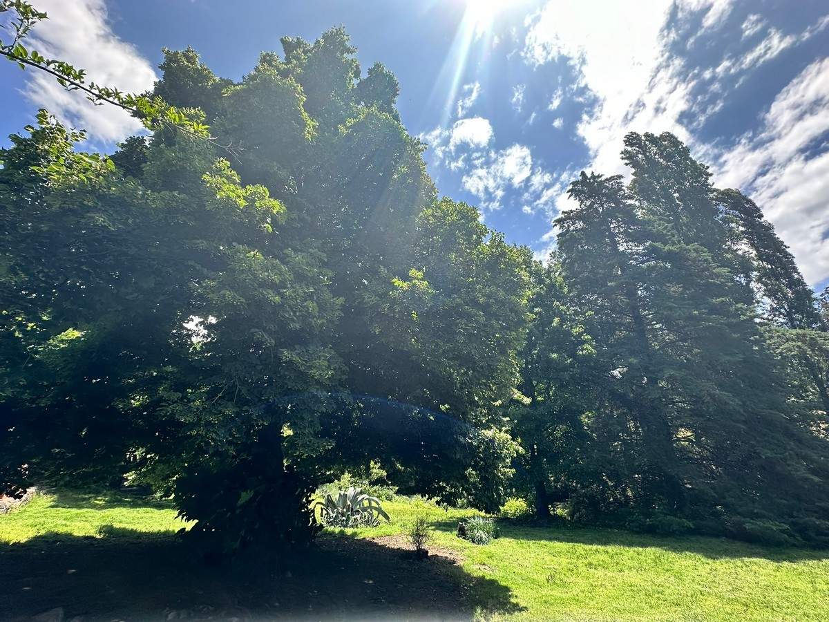 Fracciones en venta - Villa Yacanto de Calamuchita - Diferentes caracteristicas