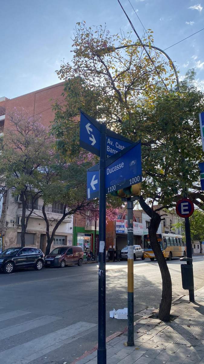 Vendo Terreno Av Castro Barros 135