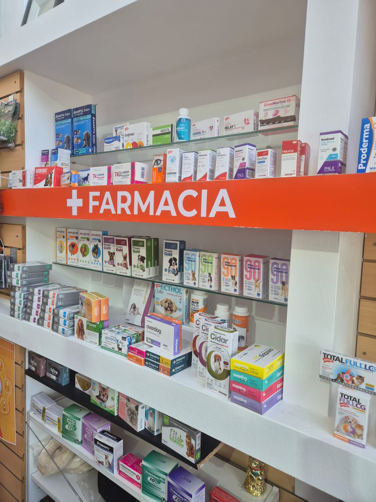 Se vende fondo de comercio Pet Shop Valle Escondido