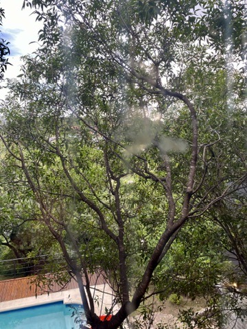 ALQUILER MENSUAL - Casa en Country - 3 dormitorios - Estancia Q2