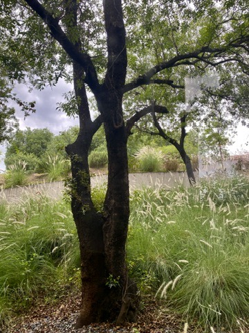 ALQUILER MENSUAL - Casa en Country - 3 dormitorios - Estancia Q2