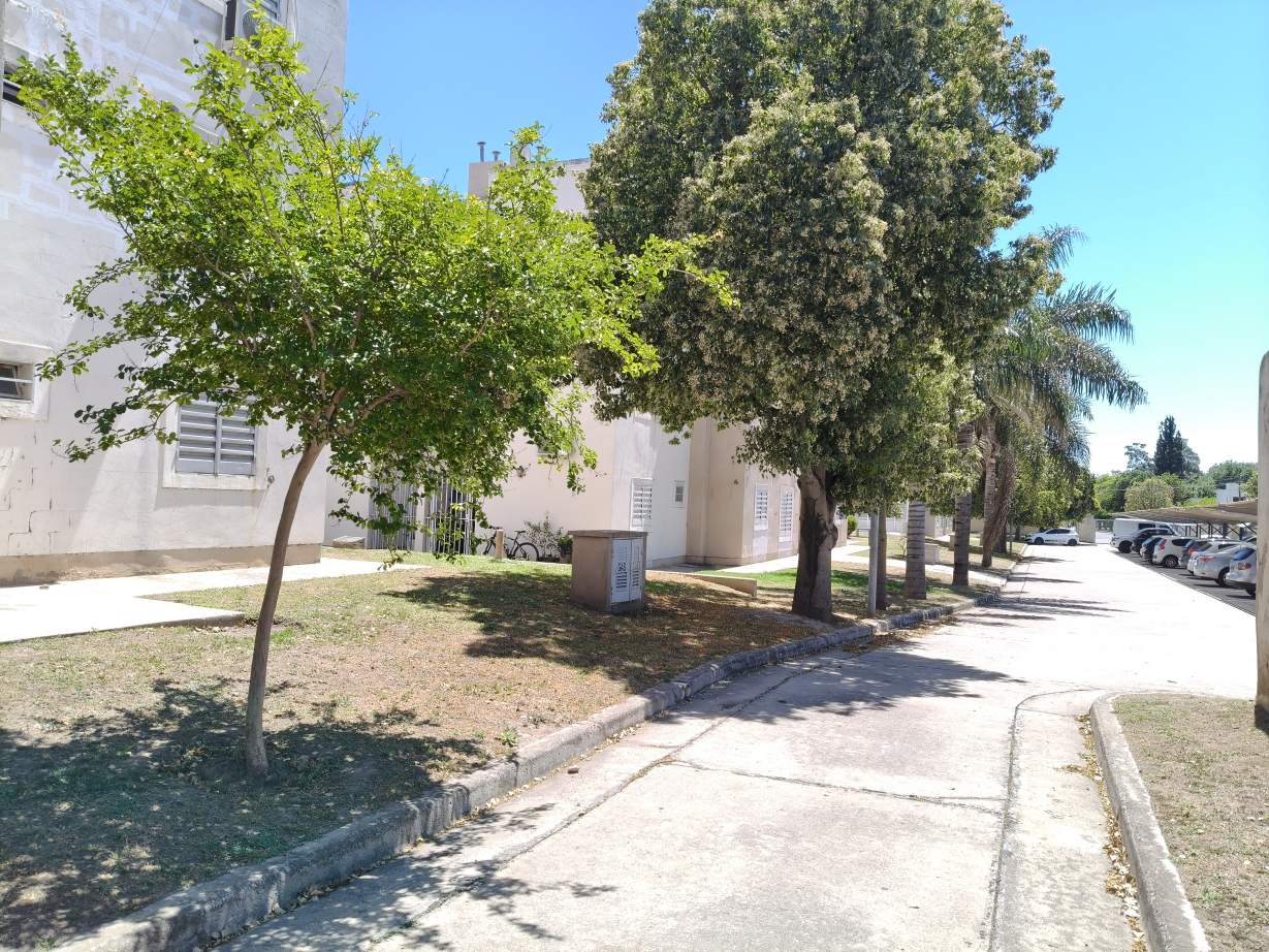 ALQUILER. DEPARATAMENTO. 2 DORMITORIOS, BAÑO. COMPLEJO CERRADO. B LAS PALMAS. CIUDAD DE CÓRDOBA