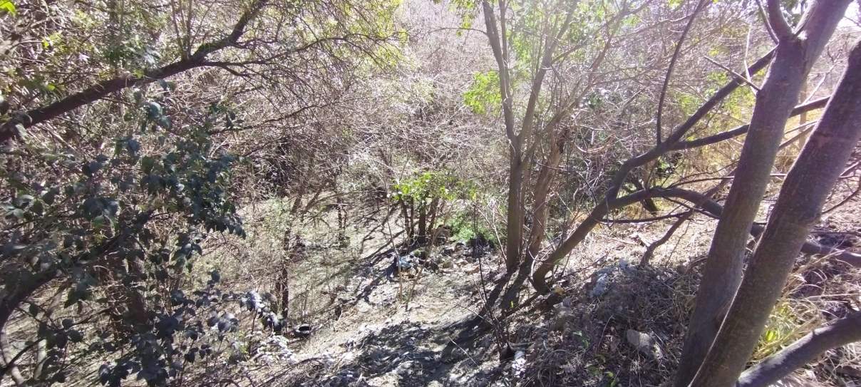 LOTE EN EL DIQUECITO  LA CALERA - 1,5 HAS