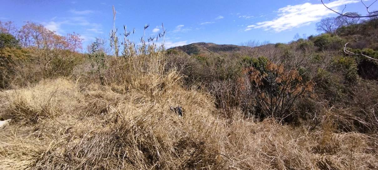 LOTE EN EL DIQUECITO  LA CALERA - 1,5 HAS