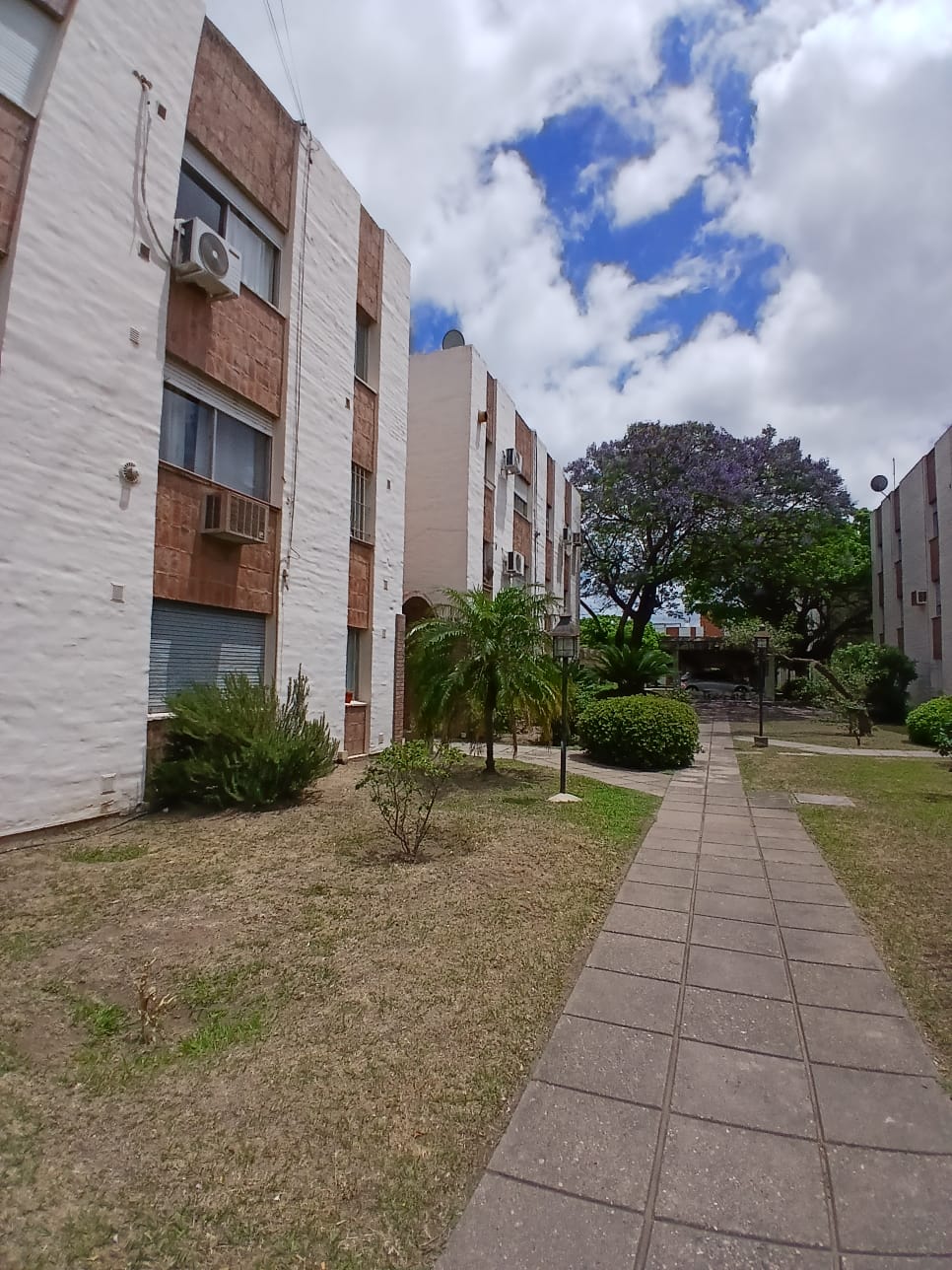 DEPARTAMENTO ALQUILER 2 DORMITORIOS BAJO PALERMO