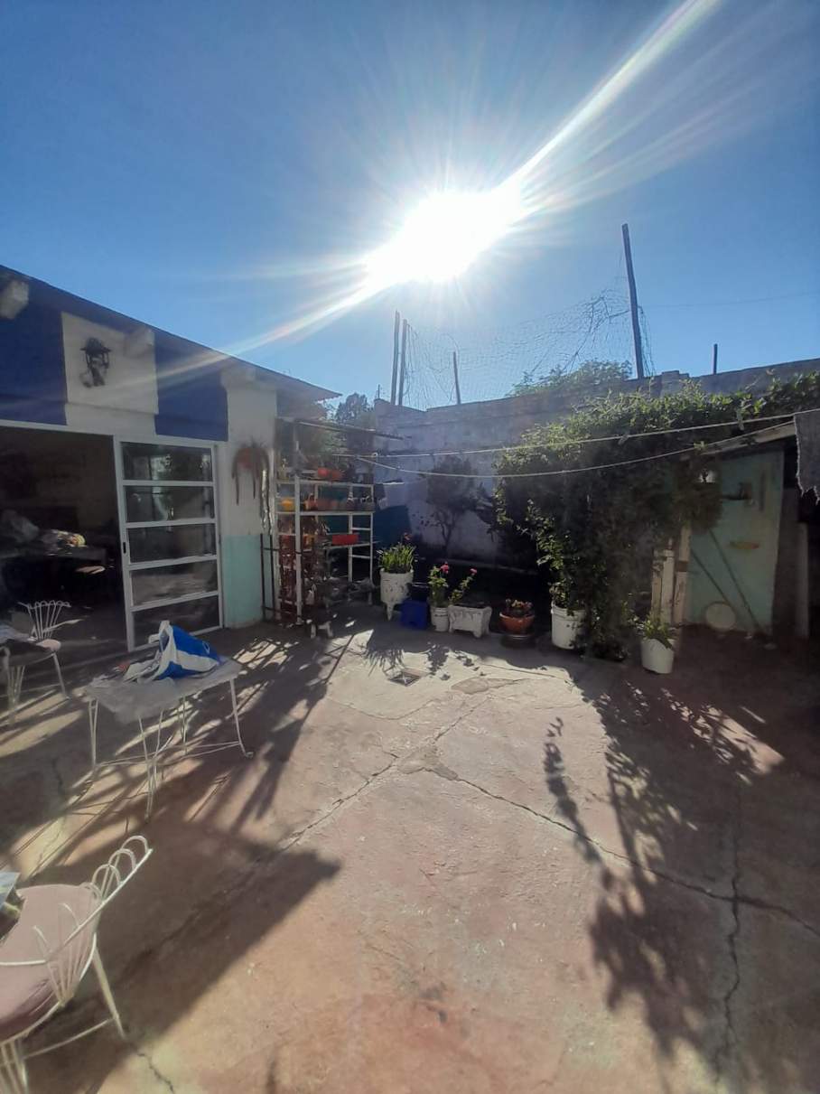 ALQ Alto Alberdi 2 dormitorios cochera y patios APTA MASCOTAS