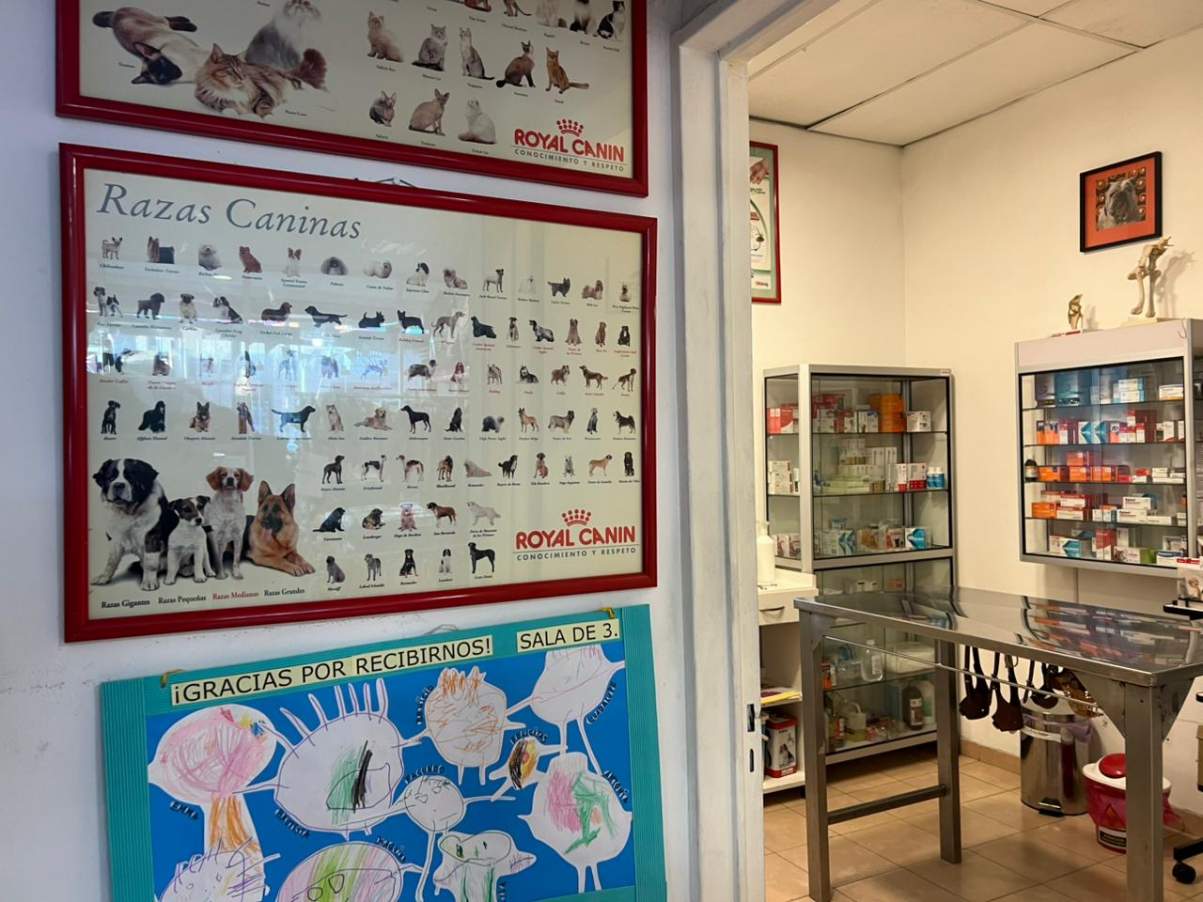 VETERINARIA EN VENTA REFERENTE EN ALTA CORDOBA EXCELENTE UBICACION