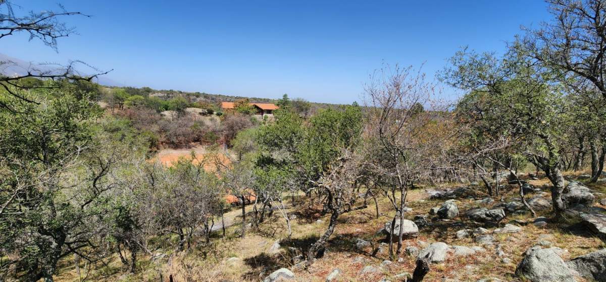 VENTA Casa única en Traslasierras con 5 hs aptas desarrollo