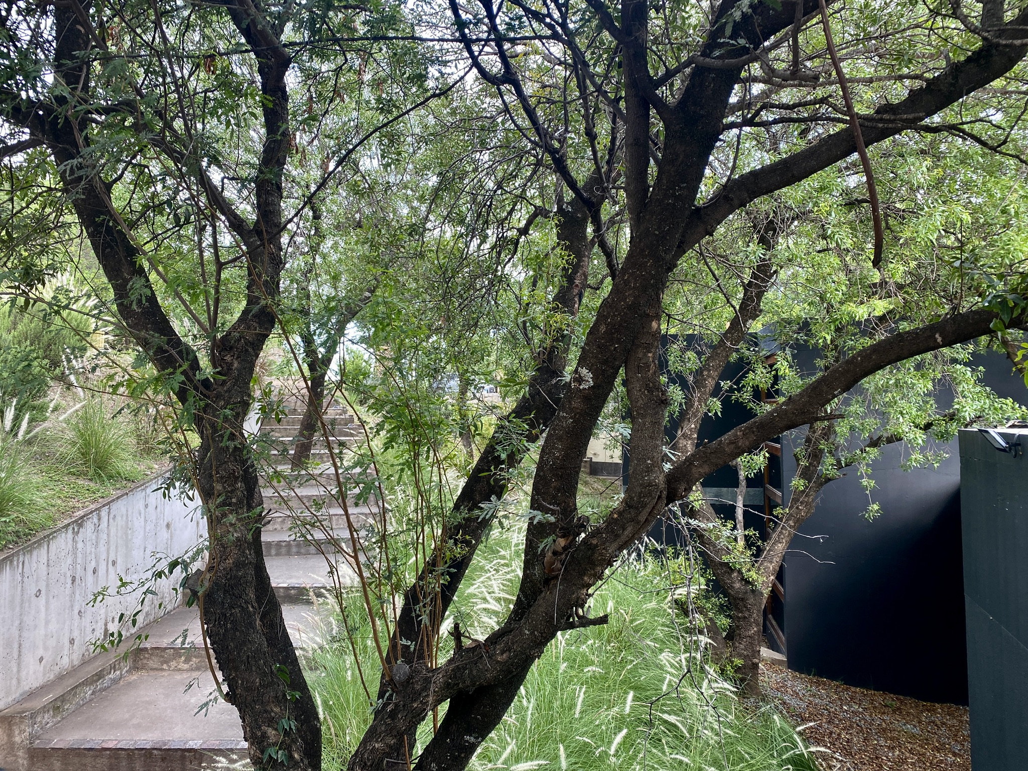 ALQUILER TEMPORAL 6 PERSONAS - Casa en Country - 3 dormitorios - Estancia Q2