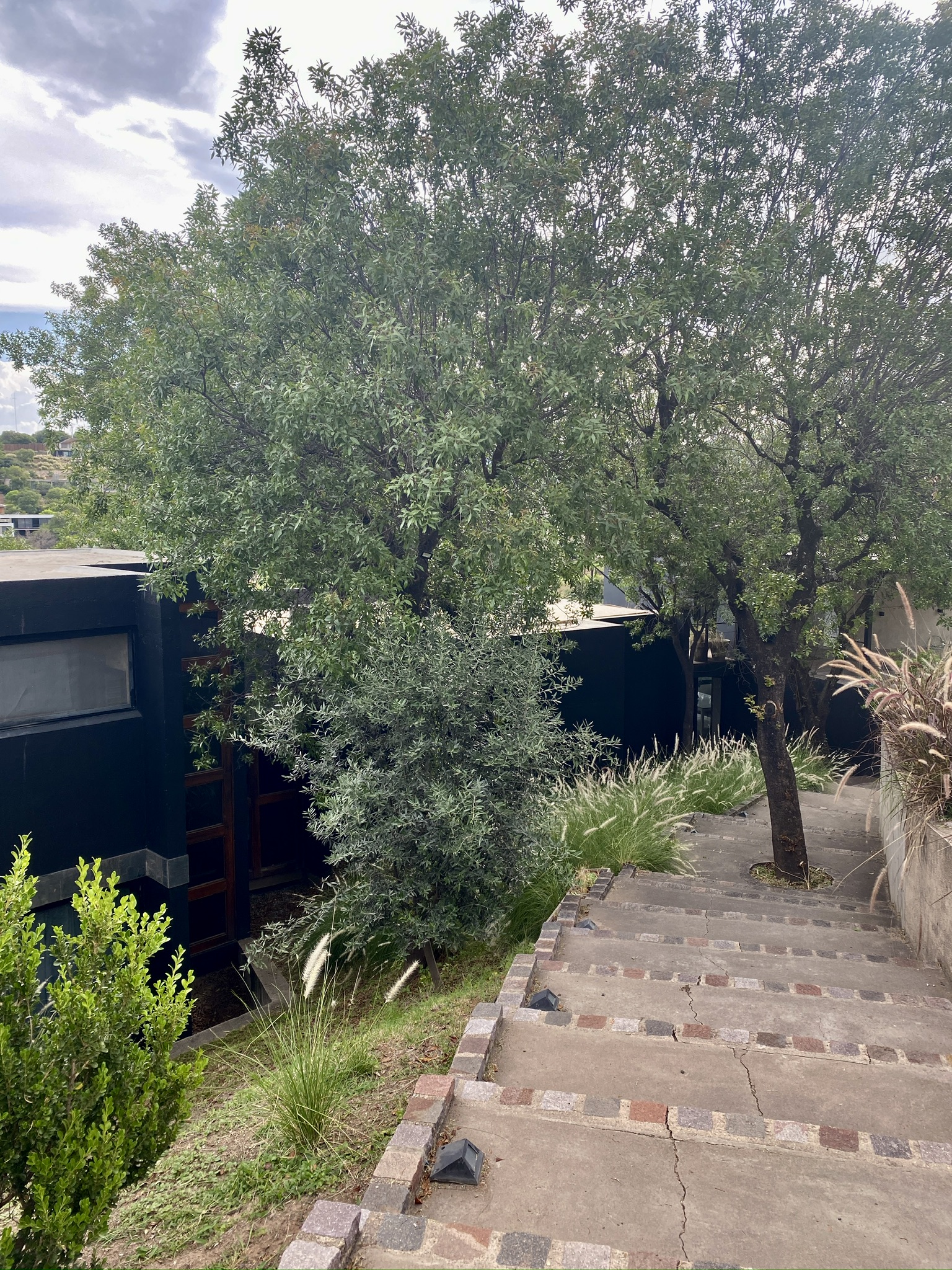 ALQUILER TEMPORAL 6 PERSONAS - Casa en Country - 3 dormitorios - Estancia Q2