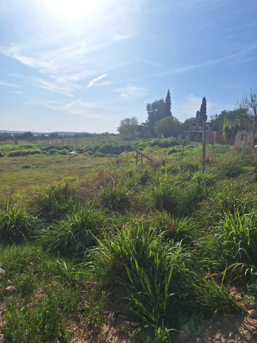 LOTES EN VENTA BARRIO RENACIMIENTO