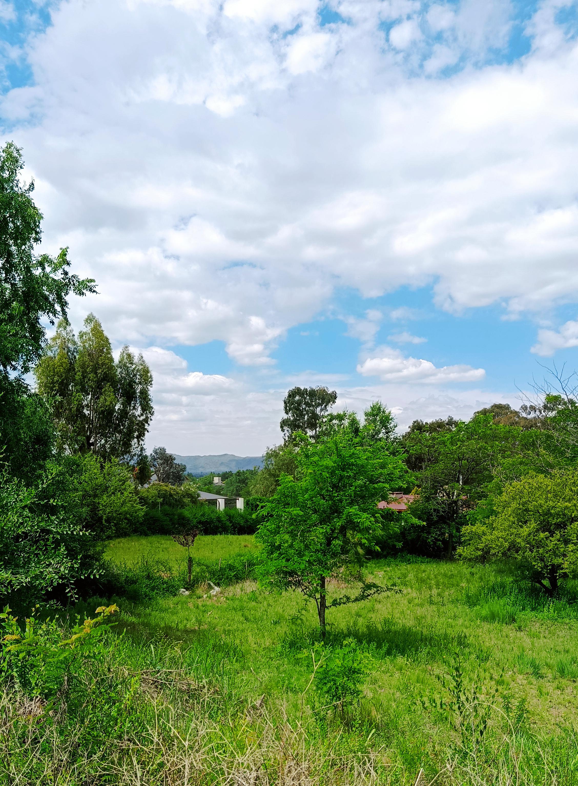 VENTA LOTE 2000M2 LOS REARTES CORDOBA