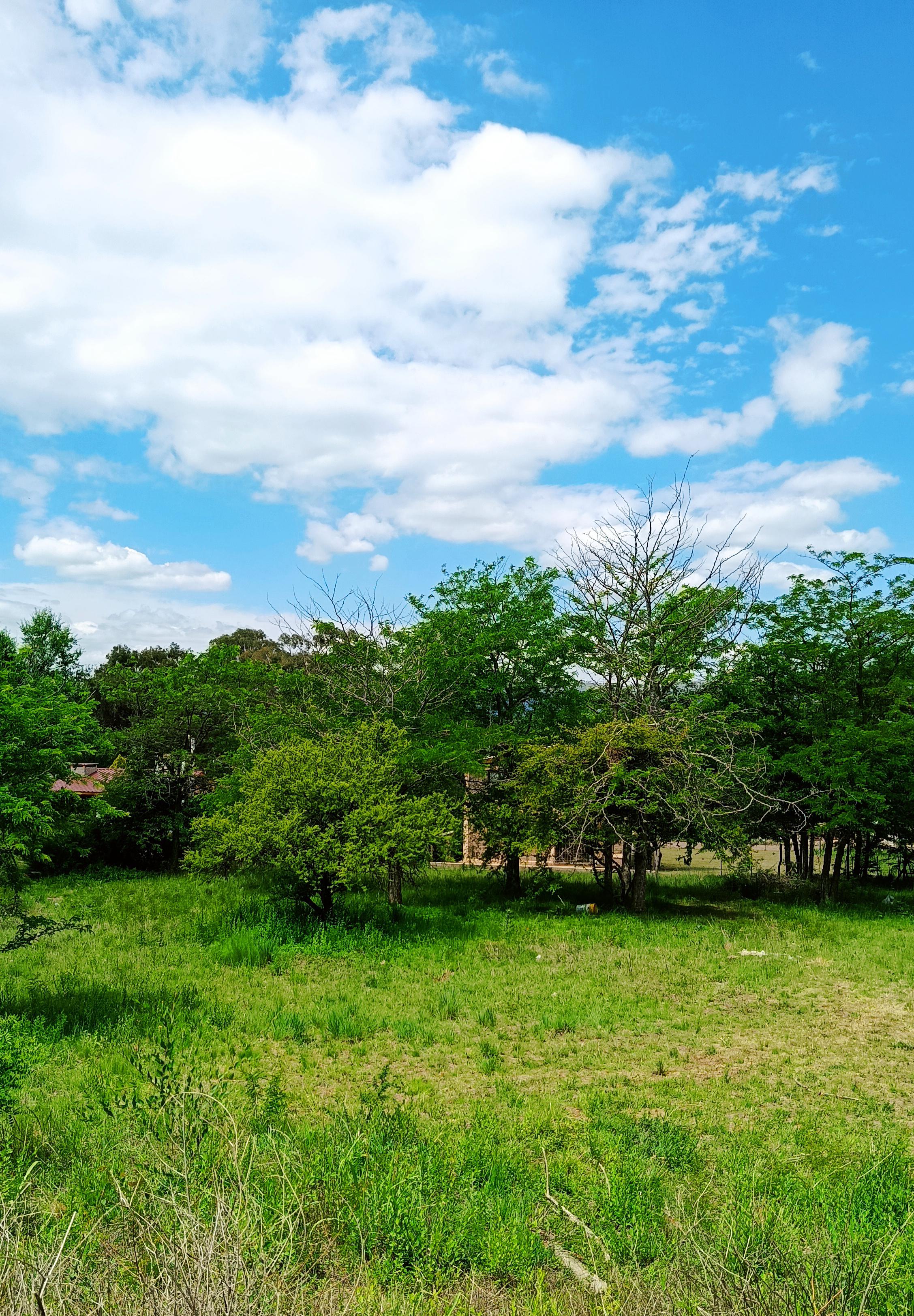 VENTA LOTE 2000M2 LOS REARTES CORDOBA