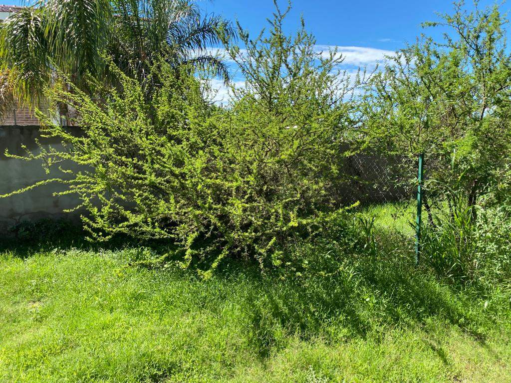 ALQUILER Housing Casa Dúplex tres dormitorios tres baños dos Cocheras SEGURIDAD