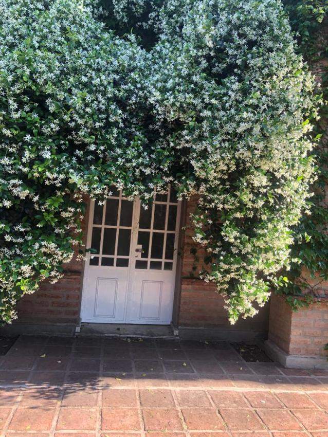 Alquiler permanente Country Lomas de La Carolina Casa 3 Dormitorios