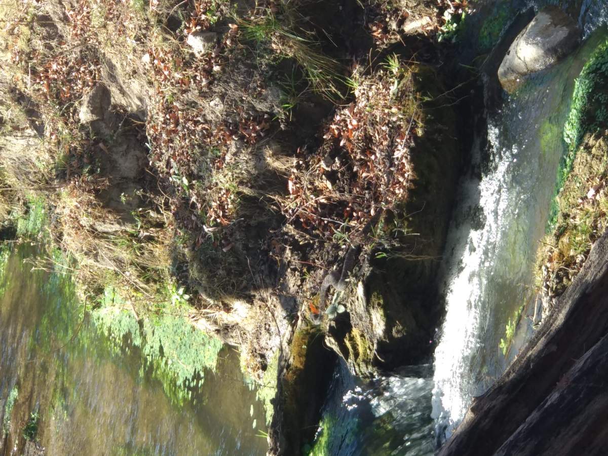 CAMPO CON ARROYO IDEAL PARA EXPLOTACION TURISTICA A 1KM DE VILLA TULUMBA !!!! RECIBO MENOR