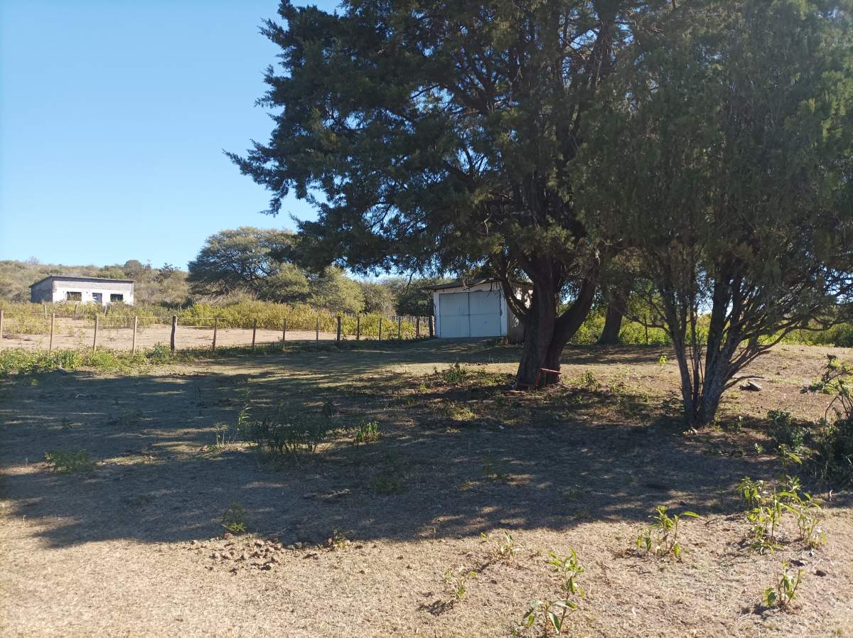 CAMPO CON ARROYO IDEAL PARA EXPLOTACION TURISTICA A 1KM DE VILLA TULUMBA !!!! RECIBO MENOR