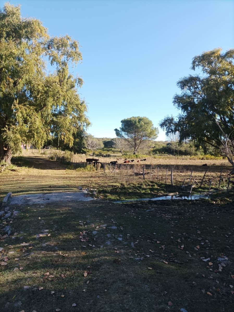 CAMPO CON ARROYO IDEAL PARA EXPLOTACION TURISTICA A 1KM DE VILLA TULUMBA !!!! RECIBO MENOR