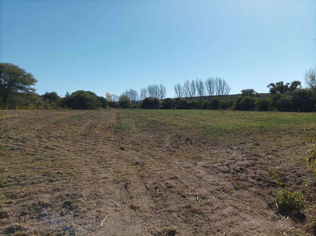 CAMPO CON ARROYO IDEAL PARA EXPLOTACION TURISTICA A 1KM DE VILLA TULUMBA !!!! RECIBO MENOR