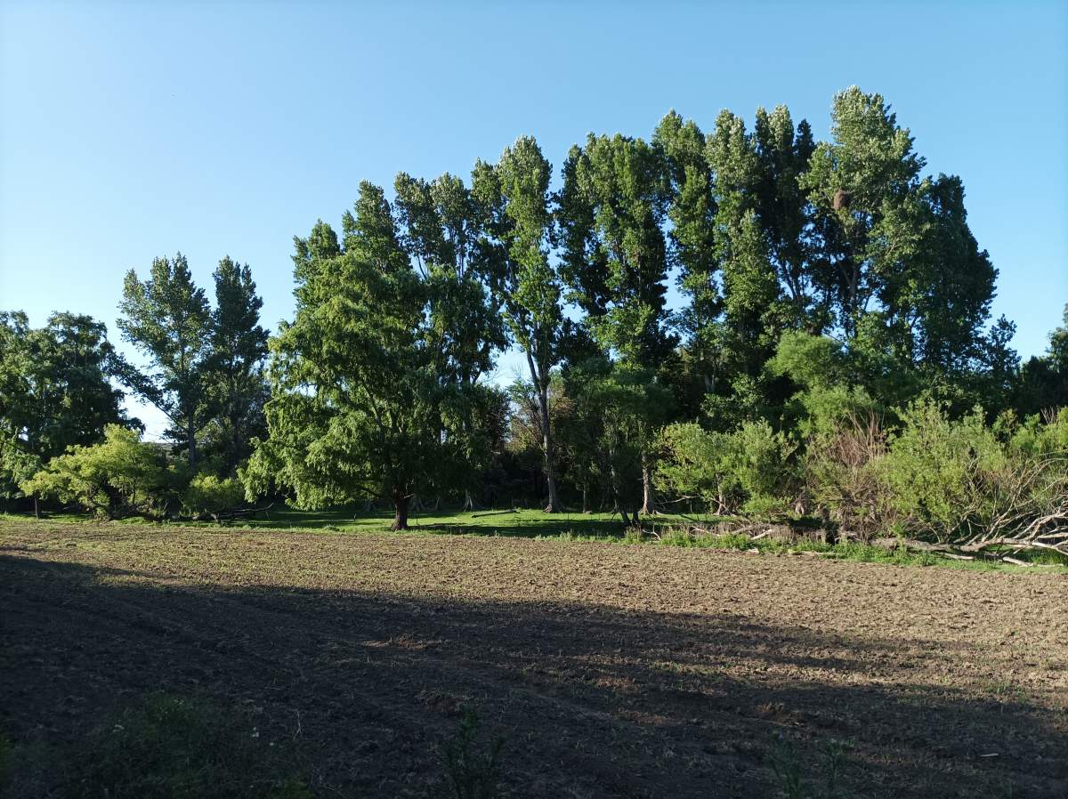 CAMPO CON ARROYO IDEAL PARA EXPLOTACION TURISTICA A 1KM DE VILLA TULUMBA !!!! RECIBO MENOR