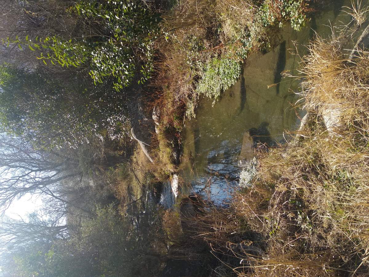 CAMPO CON ARROYO IDEAL PARA EXPLOTACION TURISTICA A 1KM DE VILLA TULUMBA !!!! RECIBO MENOR