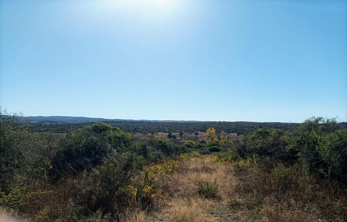 CAMPO CON ARROYO IDEAL PARA EXPLOTACION TURISTICA A 1KM DE VILLA TULUMBA !!!! RECIBO MENOR