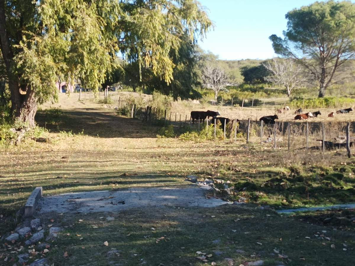 CAMPO CON ARROYO IDEAL PARA EXPLOTACION TURISTICA A 1KM DE VILLA TULUMBA !!!! RECIBO MENOR
