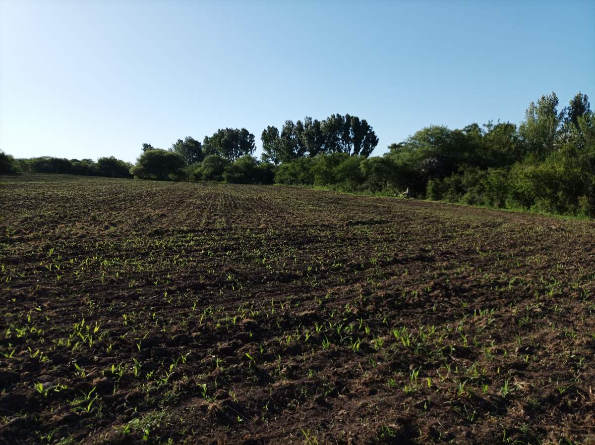 CAMPO CON ARROYO IDEAL PARA EXPLOTACION TURISTICA A 1KM DE VILLA TULUMBA !!!! RECIBO MENOR