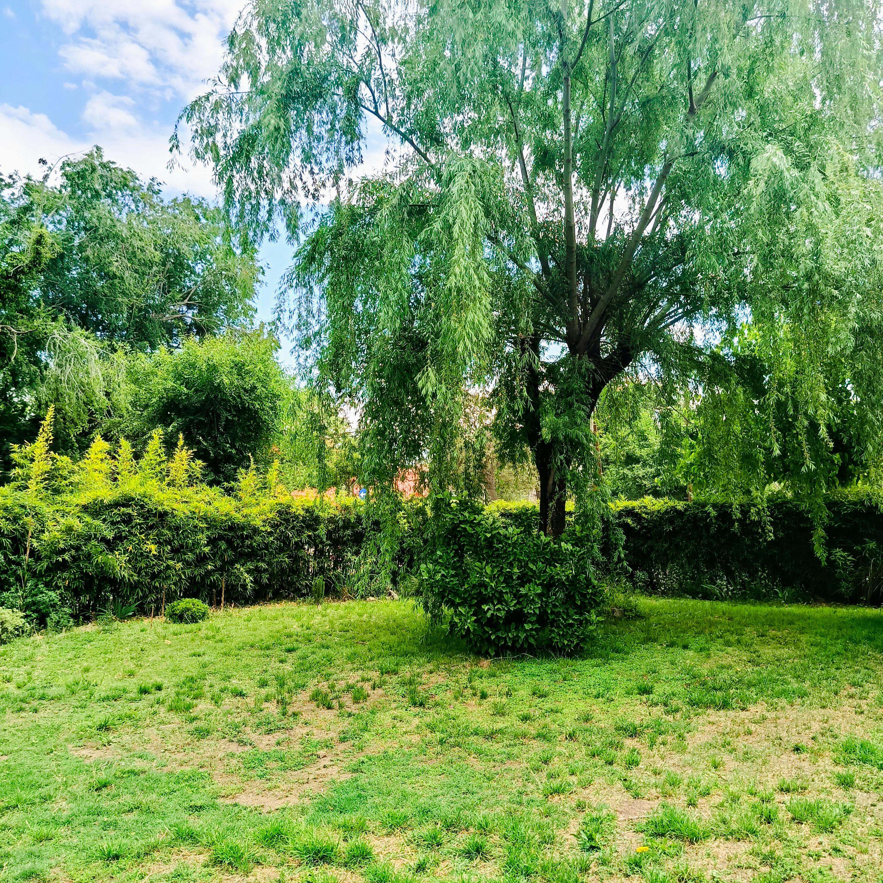 VENTA PROPIEDAD 1538M2 CON CASA 80M2 CORAZON LOS REARTES CORDOBA